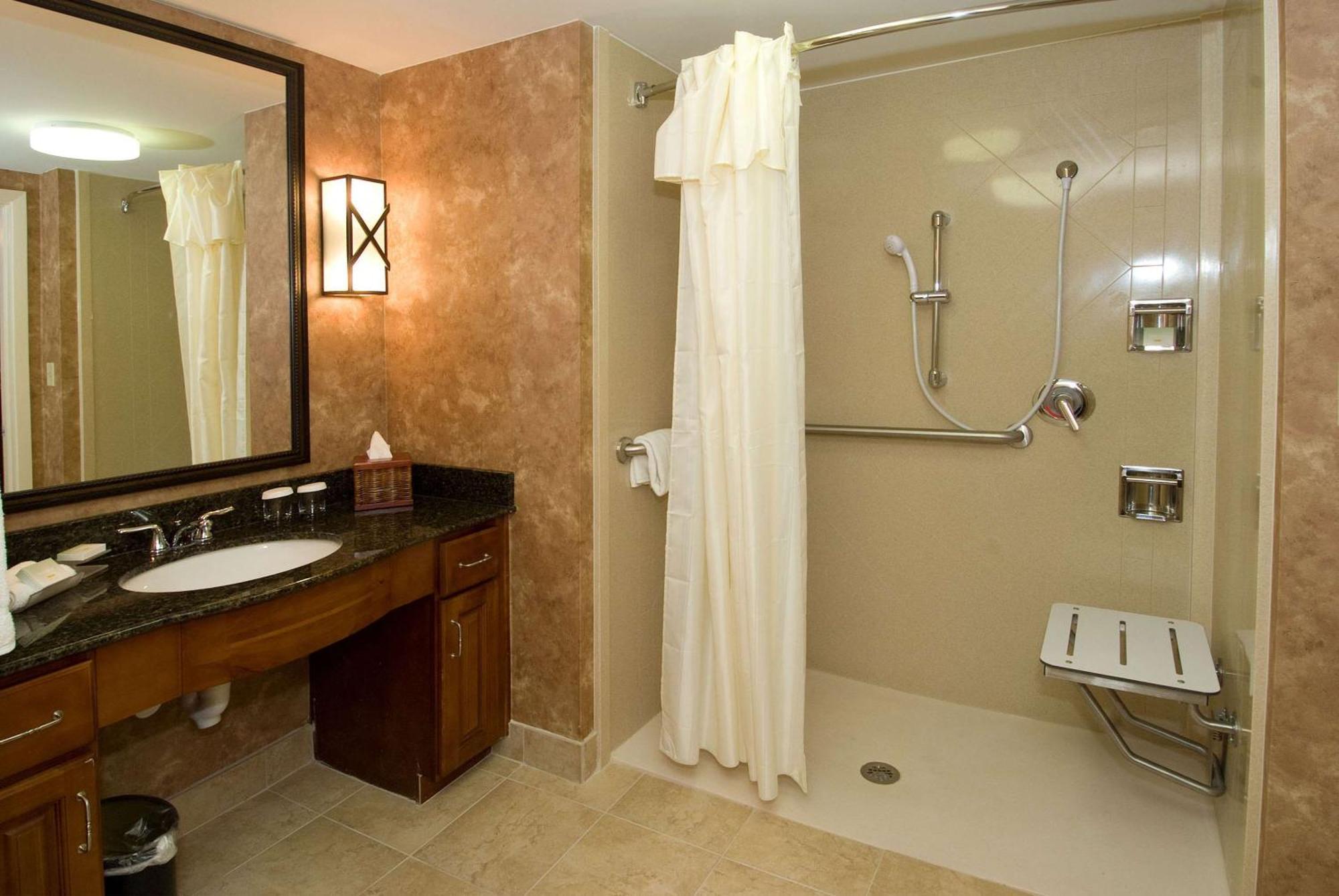 King Studio with Roll-In Shower - Mobility Access/Non-Smoking