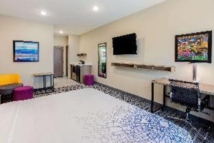 1 King Bed, Deluxe Mobility/Hearing Accessible Room, Roll-In Shower, Non-Smoking,1287377254:JPEG