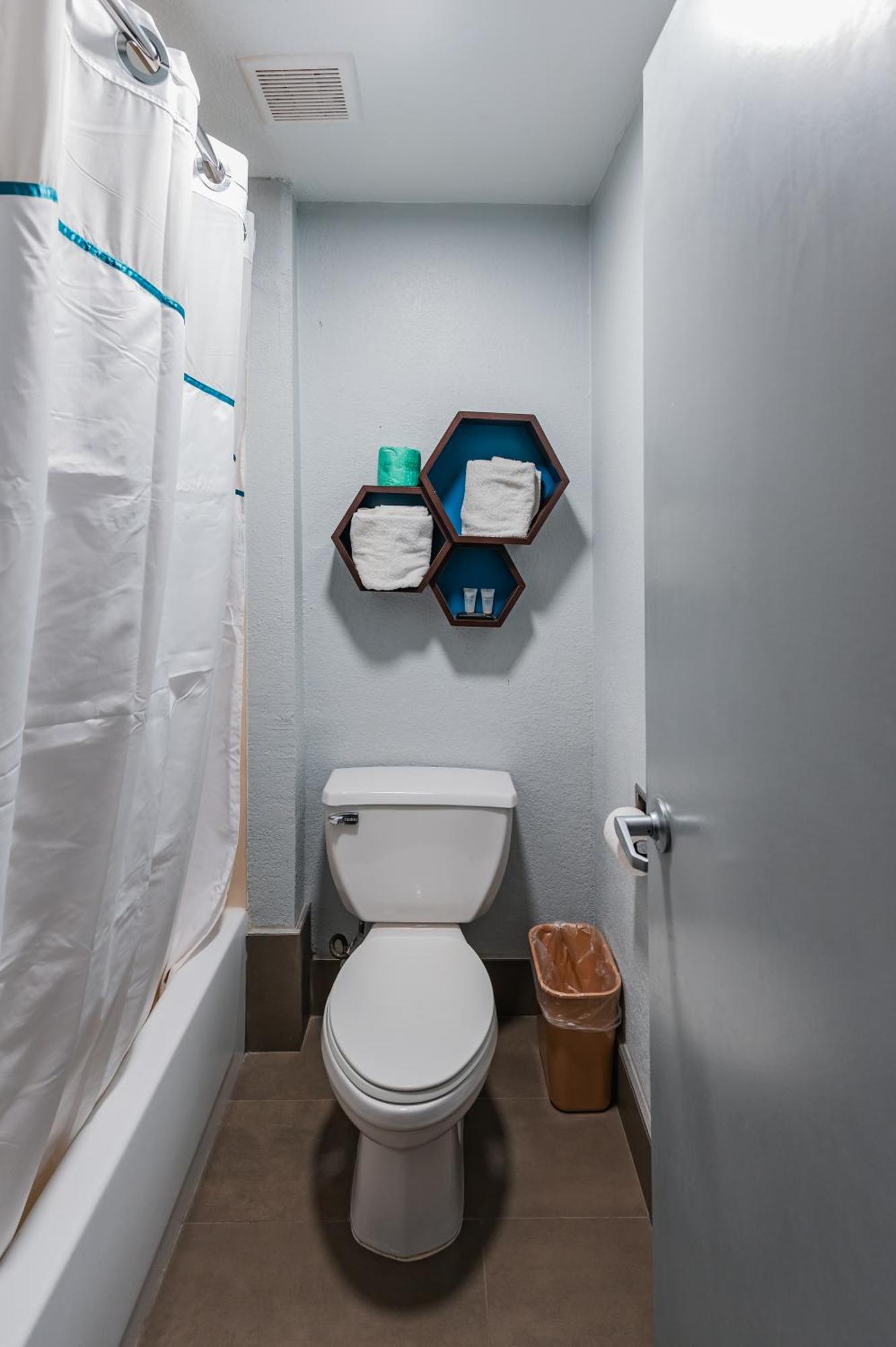 Studio King Room Disability Access Roll-In Shower Non-Smoking