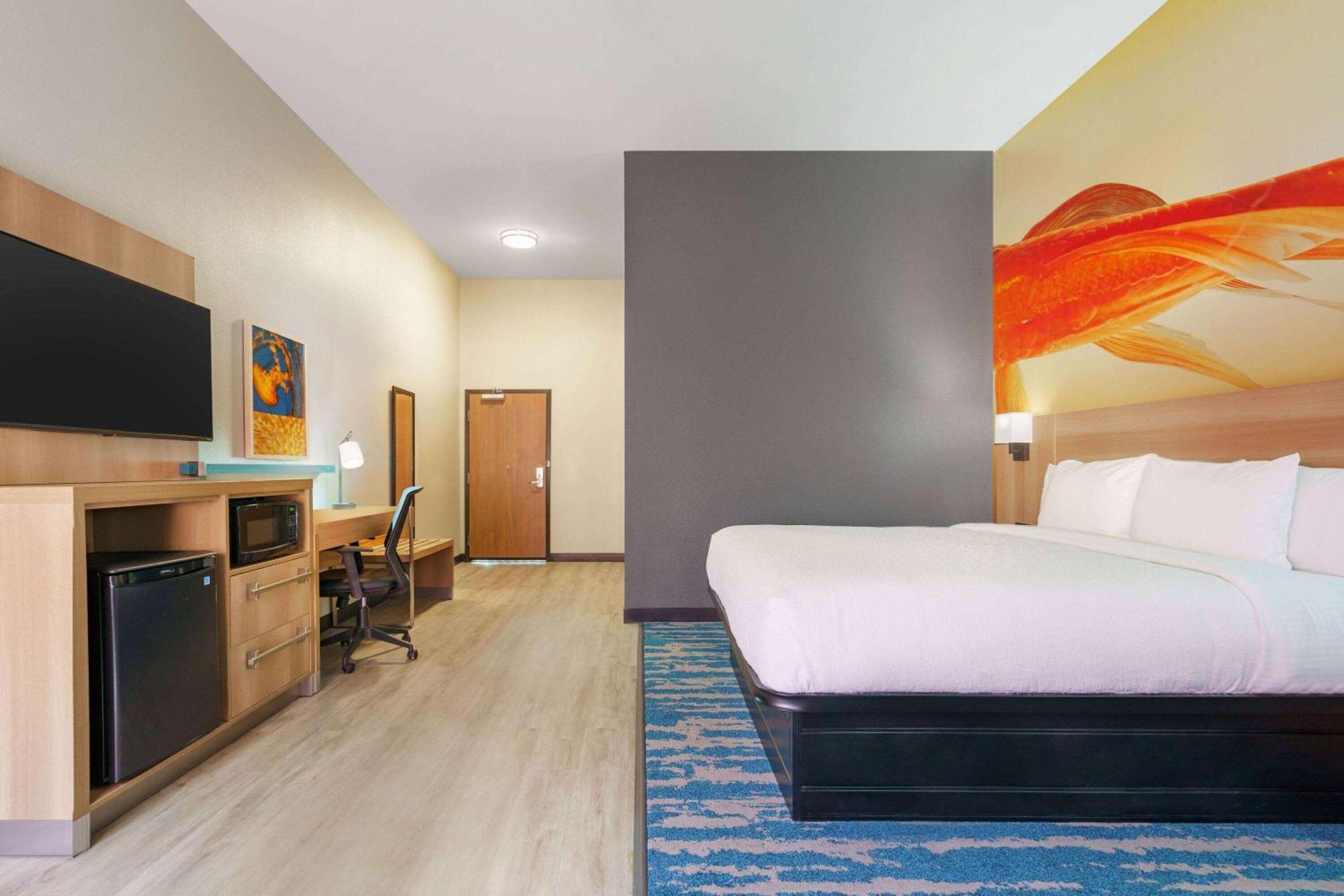 King Room Roll Shower Mobility or Hearing Accessible Non-Smoking
