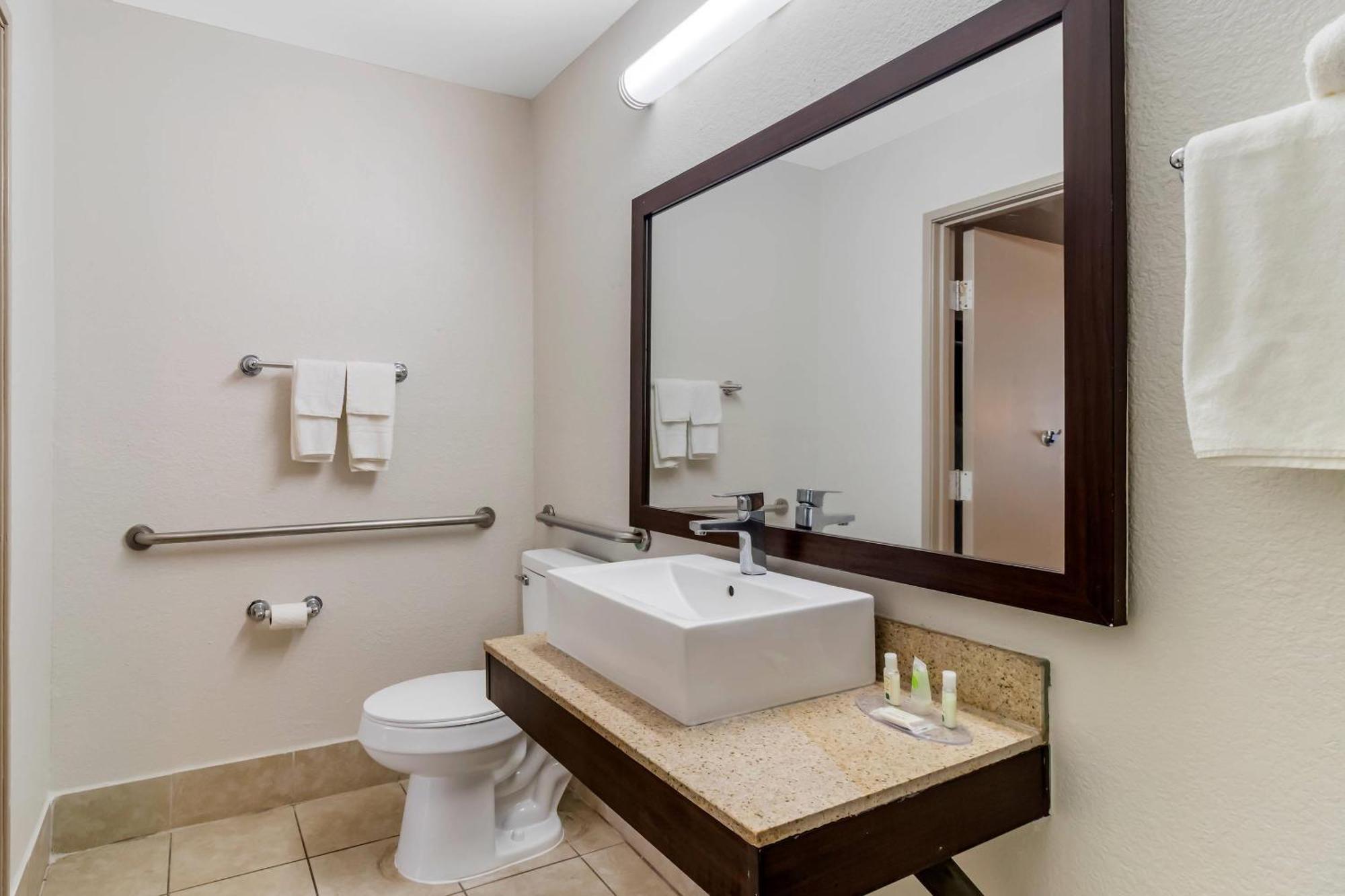 King Room Roll Shower Disability Access