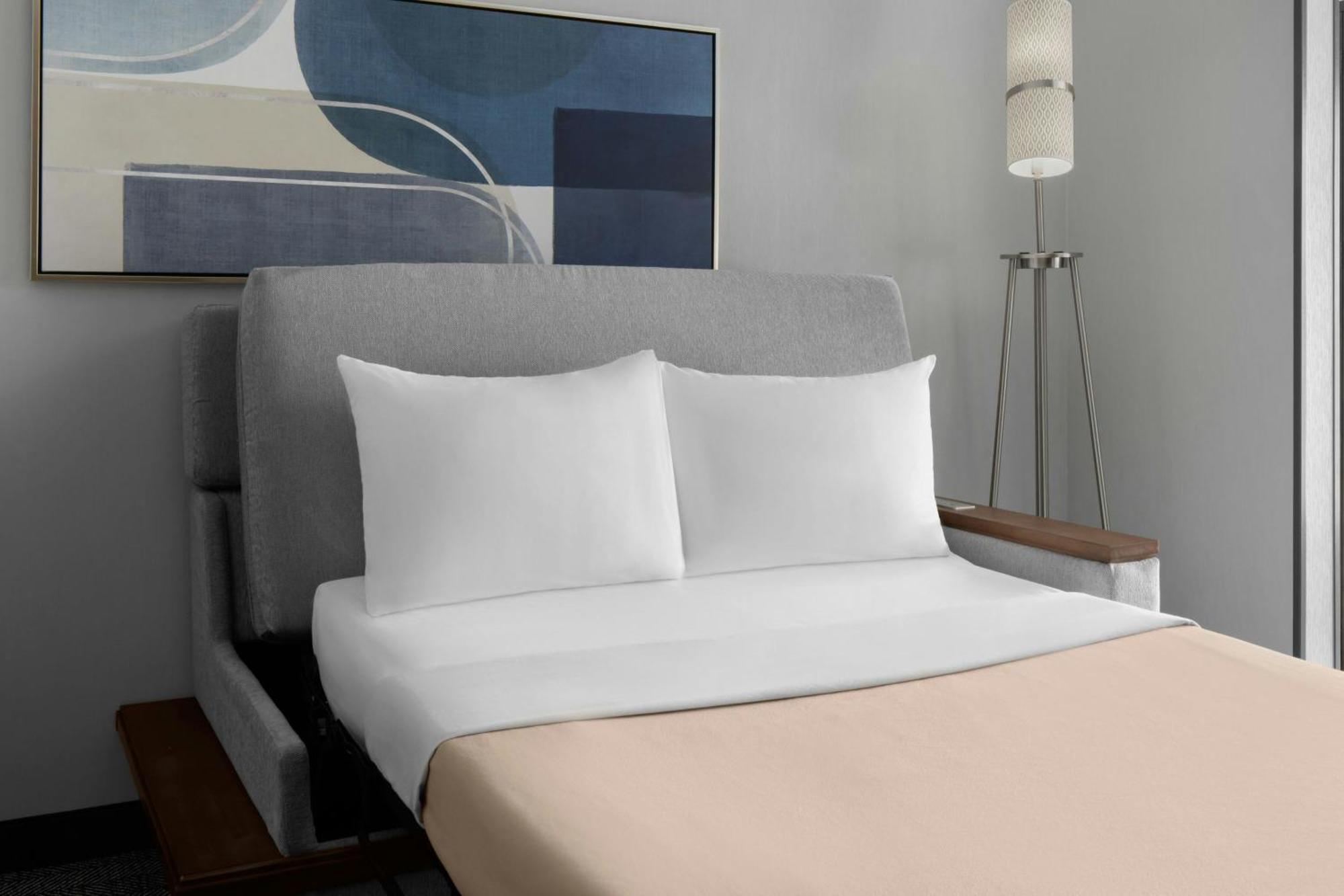 King Room Sofa Bed