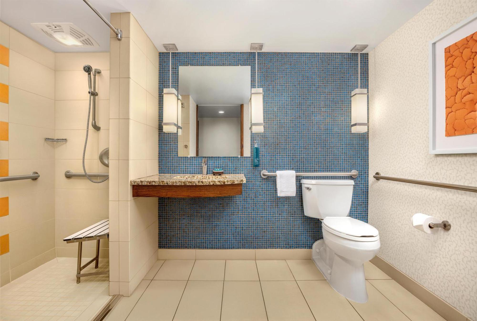 King Room Roll Shower City View Mobility Access