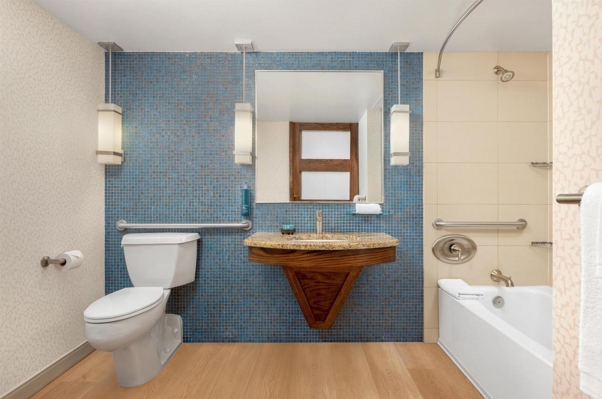 King Room Bath Tub Mobility Access
