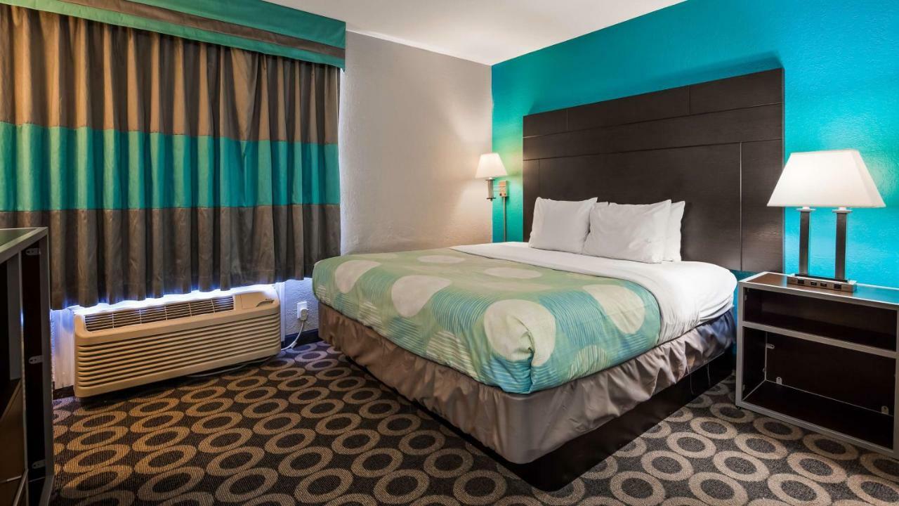 One Bedroom King Suite with Sofa Bed