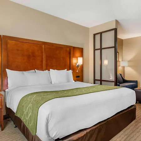 Comfort Suites San Antonio Airport North-2