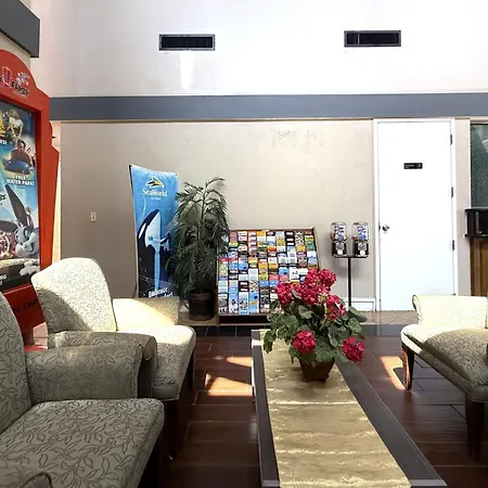 Homegate Studios & Suites San Antonio Medical Center-3