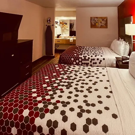 Econo Lodge Inn & Suites Downtown San Antonio-2