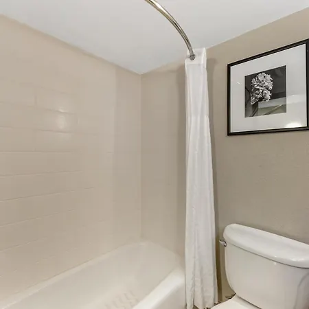 Best Western Alamo Suites-3