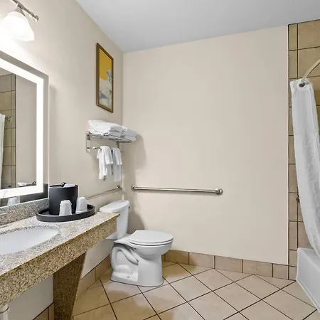 Comfort Suites San Antonio North - Stone Oak-3