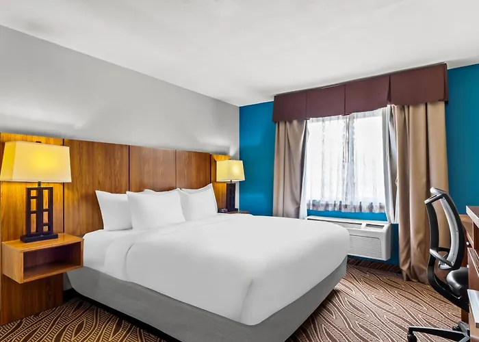 Quality Inn & Suites San Antonio Airport - Stone Oak